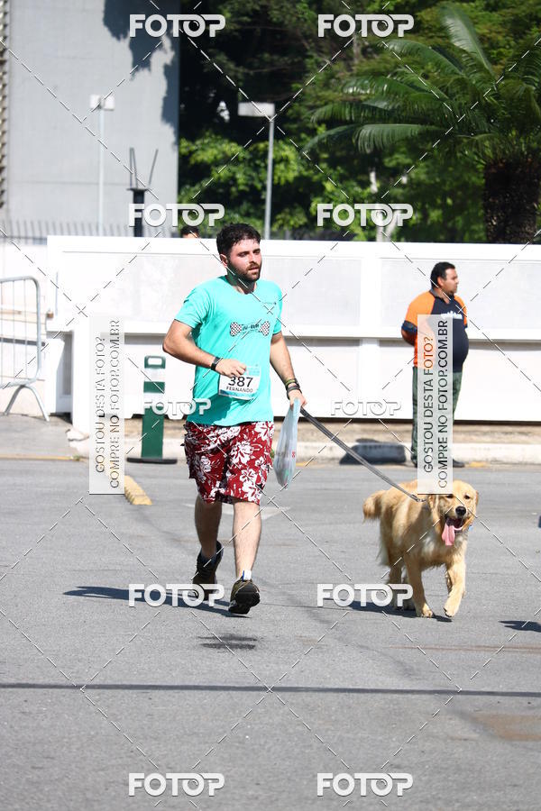 Buy your photos of the event2� Pet Run Shopping Eldorado  on Fotop