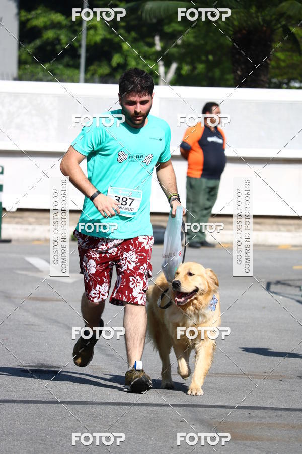 Buy your photos of the event2� Pet Run Shopping Eldorado  on Fotop