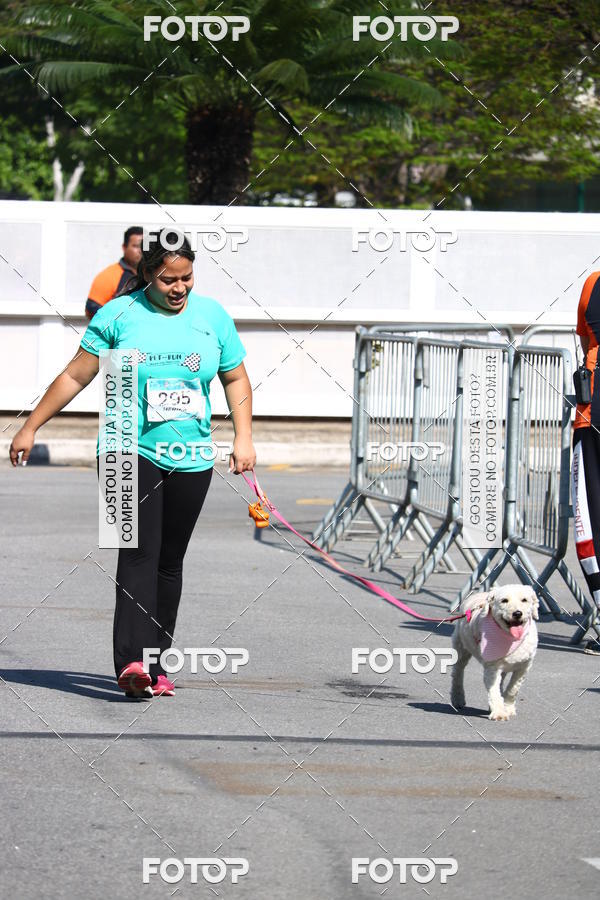 Buy your photos of the event2� Pet Run Shopping Eldorado  on Fotop