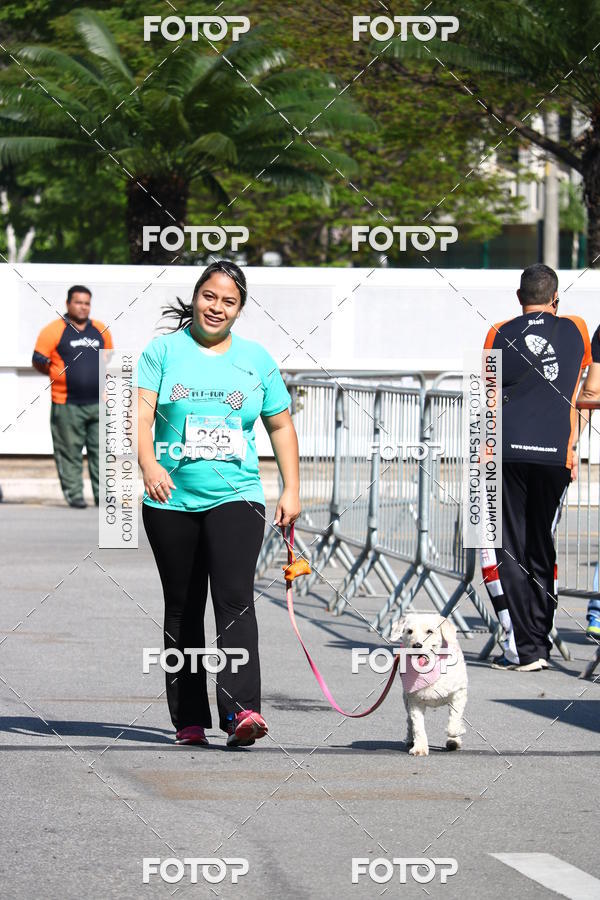 Buy your photos of the event2� Pet Run Shopping Eldorado  on Fotop