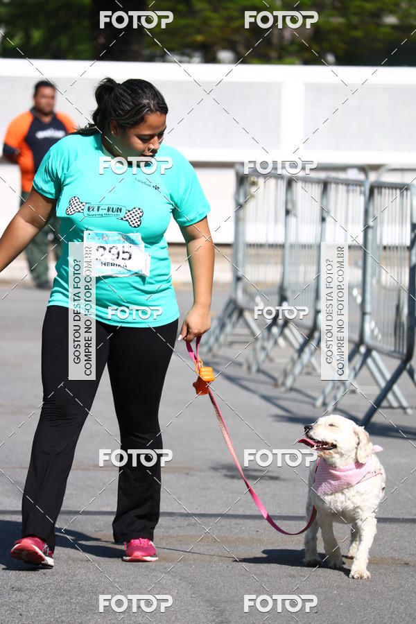 Buy your photos of the event2� Pet Run Shopping Eldorado  on Fotop