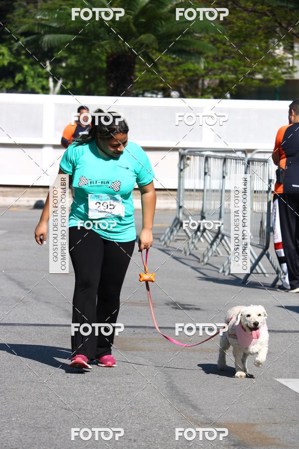 Buy your photos of the event2� Pet Run Shopping Eldorado  on Fotop