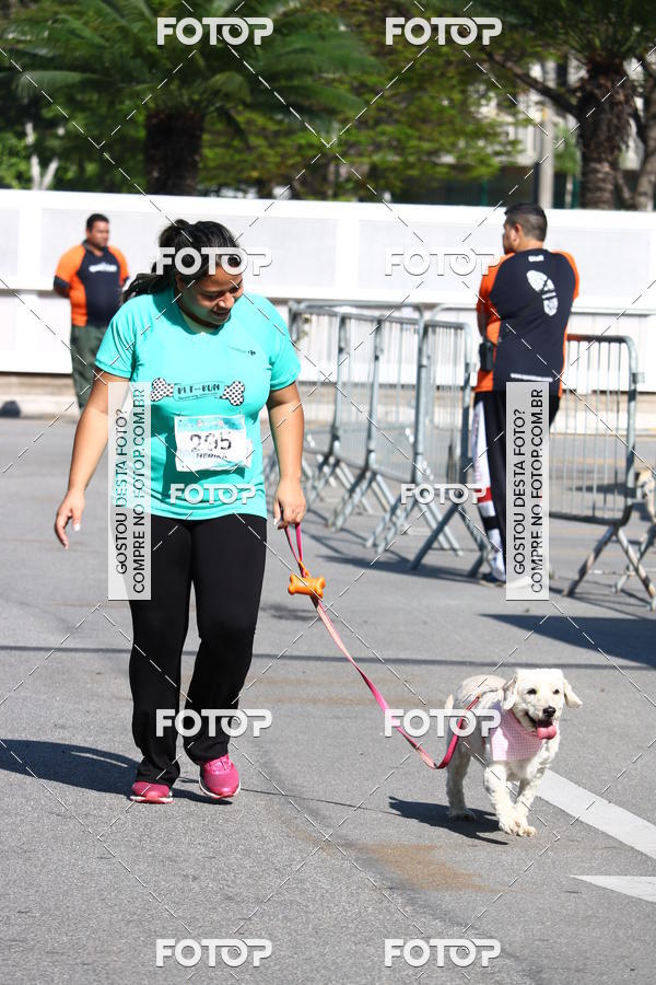 Buy your photos of the event2� Pet Run Shopping Eldorado  on Fotop