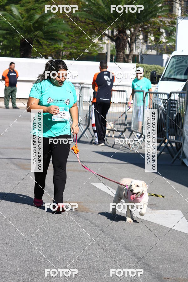 Buy your photos of the event2� Pet Run Shopping Eldorado  on Fotop