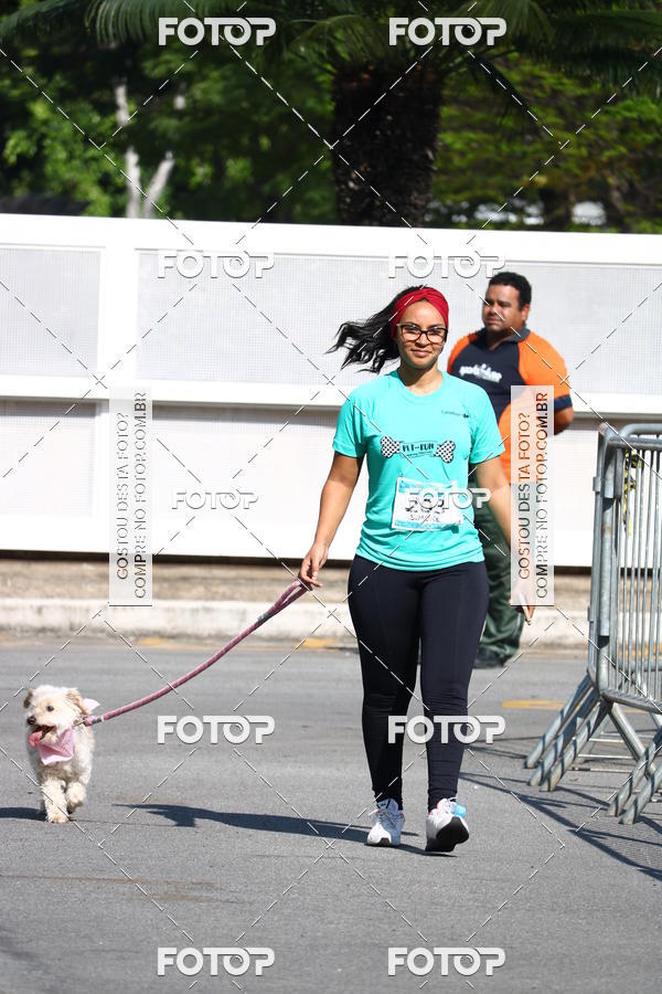 Buy your photos of the event2� Pet Run Shopping Eldorado  on Fotop