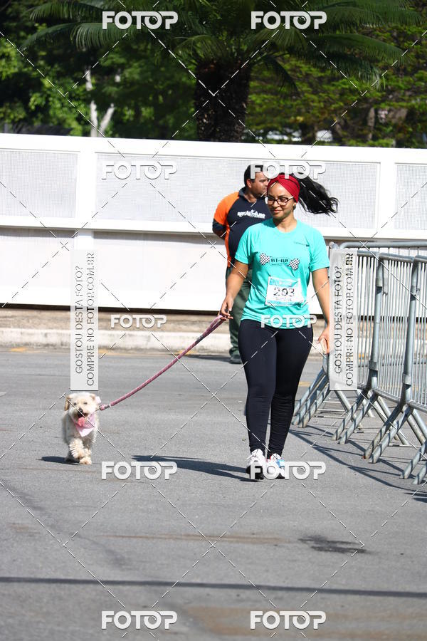 Buy your photos of the event2� Pet Run Shopping Eldorado  on Fotop