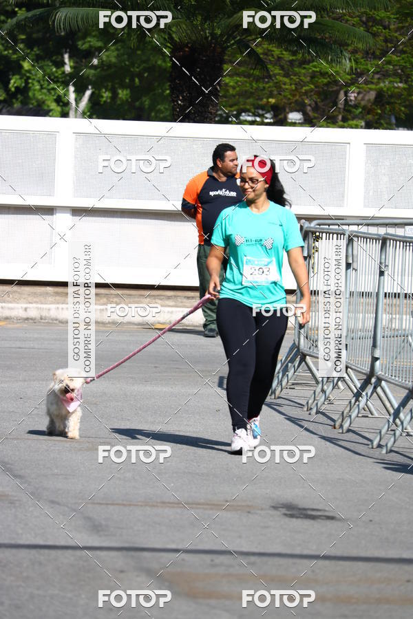 Buy your photos of the event2� Pet Run Shopping Eldorado  on Fotop
