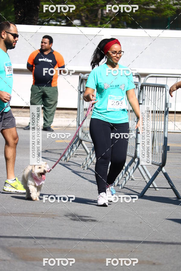 Buy your photos of the event2� Pet Run Shopping Eldorado  on Fotop