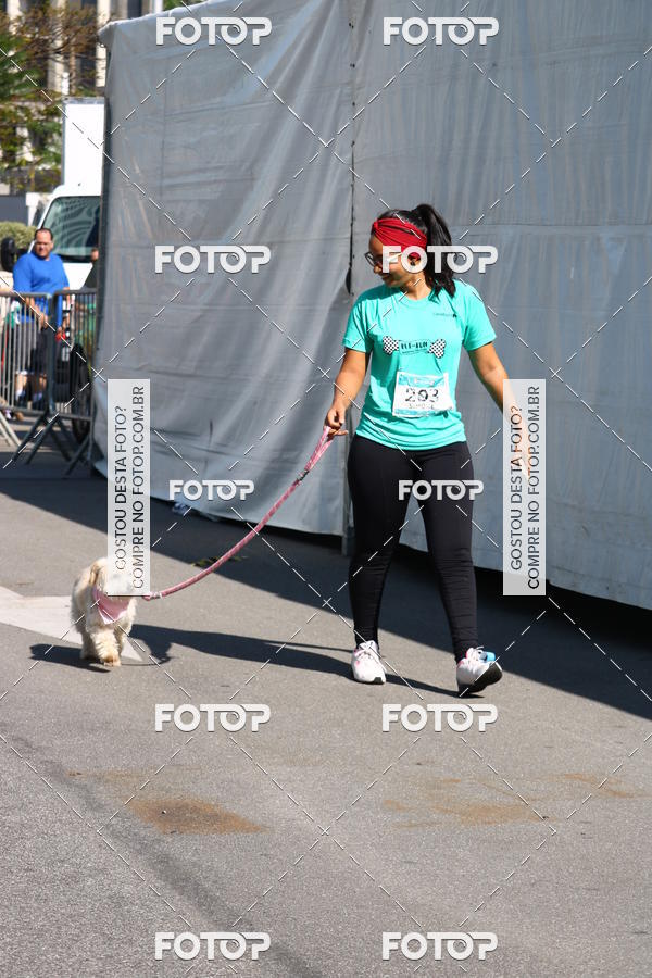 Buy your photos of the event2� Pet Run Shopping Eldorado  on Fotop