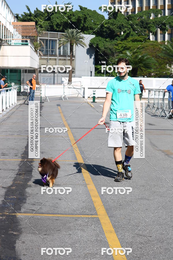 Buy your photos of the event2� Pet Run Shopping Eldorado  on Fotop