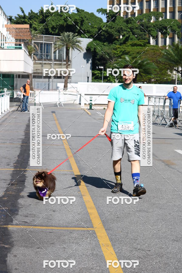 Buy your photos of the event2� Pet Run Shopping Eldorado  on Fotop