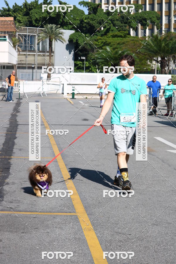 Buy your photos of the event2� Pet Run Shopping Eldorado  on Fotop