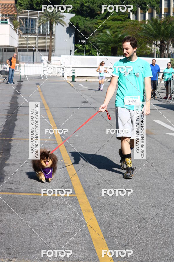Buy your photos of the event2� Pet Run Shopping Eldorado  on Fotop