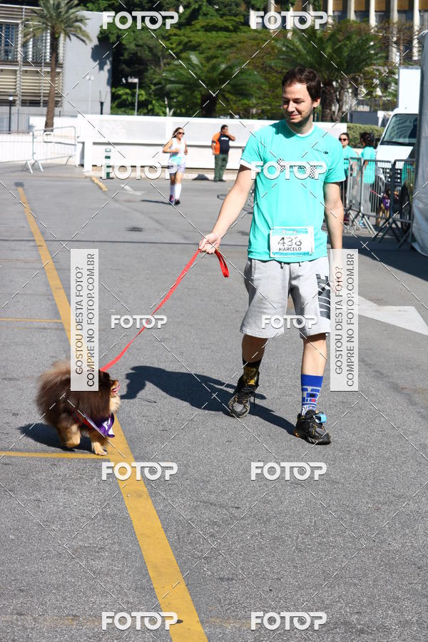 Buy your photos of the event2� Pet Run Shopping Eldorado  on Fotop