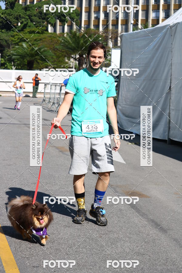 Buy your photos of the event2� Pet Run Shopping Eldorado  on Fotop