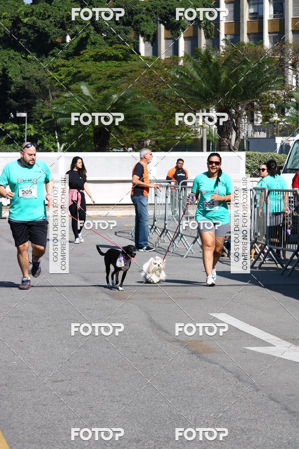 Buy your photos of the event2� Pet Run Shopping Eldorado  on Fotop