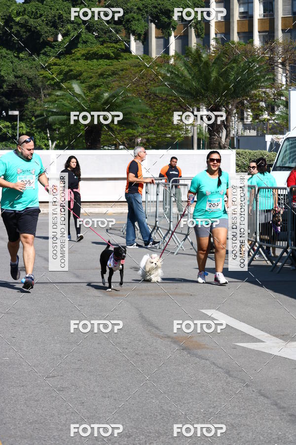 Buy your photos of the event2� Pet Run Shopping Eldorado  on Fotop