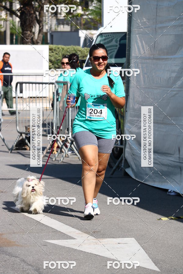 Buy your photos of the event2� Pet Run Shopping Eldorado  on Fotop