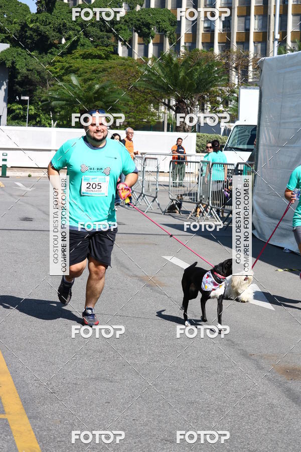 Buy your photos of the event2� Pet Run Shopping Eldorado  on Fotop