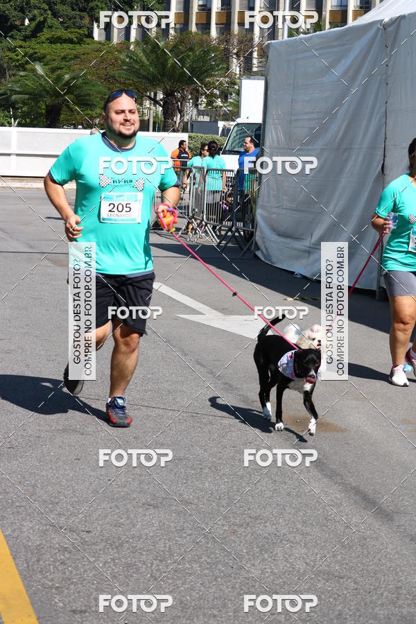 Buy your photos of the event2� Pet Run Shopping Eldorado  on Fotop