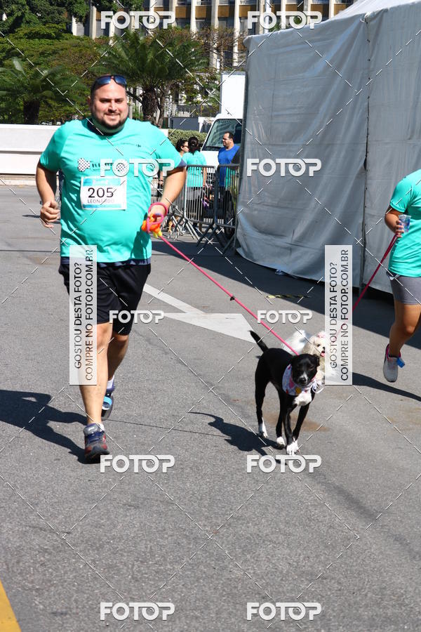 Buy your photos of the event2� Pet Run Shopping Eldorado  on Fotop