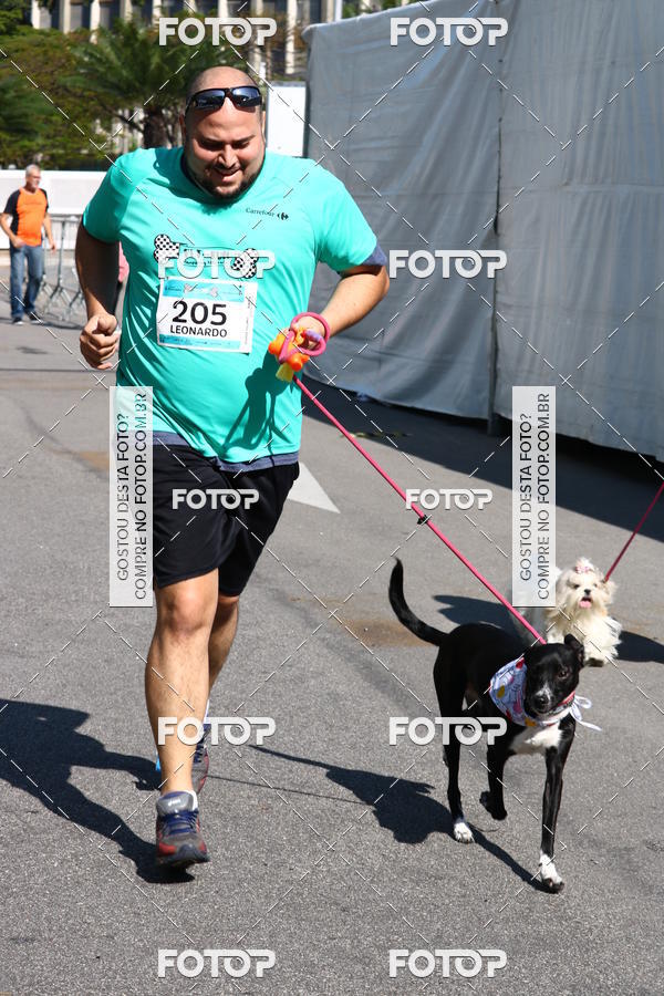 Buy your photos of the event2� Pet Run Shopping Eldorado  on Fotop
