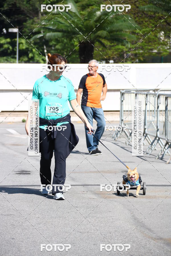 Buy your photos of the event2� Pet Run Shopping Eldorado  on Fotop