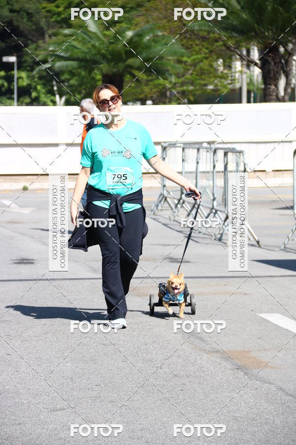 Buy your photos of the event2� Pet Run Shopping Eldorado  on Fotop