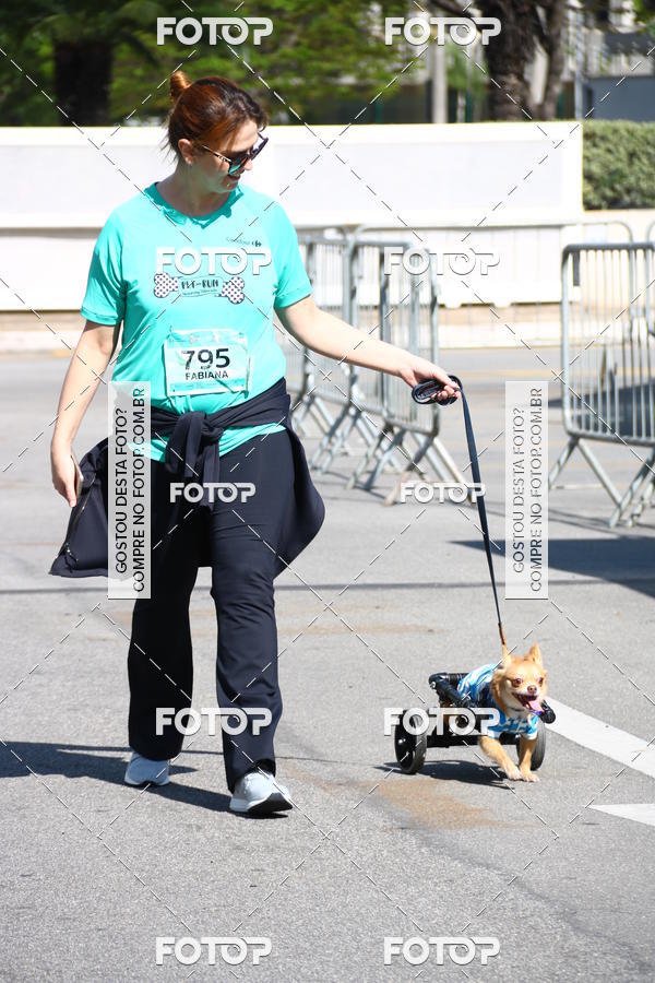 Buy your photos of the event2� Pet Run Shopping Eldorado  on Fotop