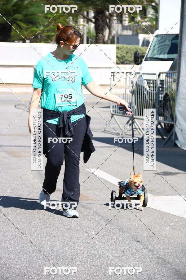 Buy your photos of the event2� Pet Run Shopping Eldorado  on Fotop