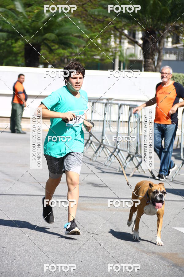 Buy your photos of the event2� Pet Run Shopping Eldorado  on Fotop