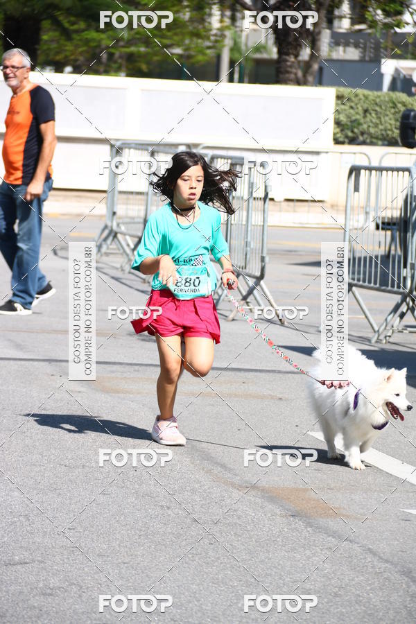 Buy your photos of the event2� Pet Run Shopping Eldorado  on Fotop