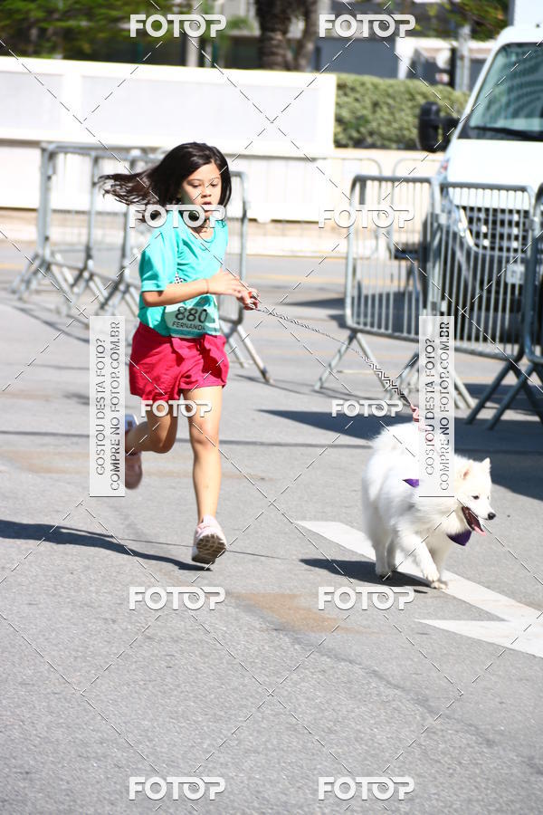 Buy your photos of the event2� Pet Run Shopping Eldorado  on Fotop