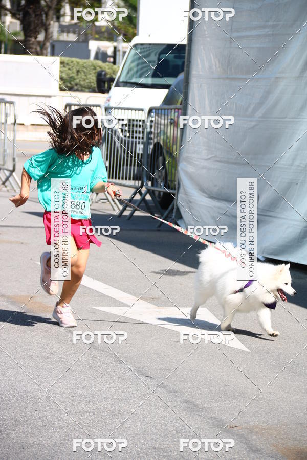 Buy your photos of the event2� Pet Run Shopping Eldorado  on Fotop