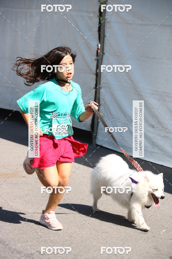 Buy your photos of the event2� Pet Run Shopping Eldorado  on Fotop