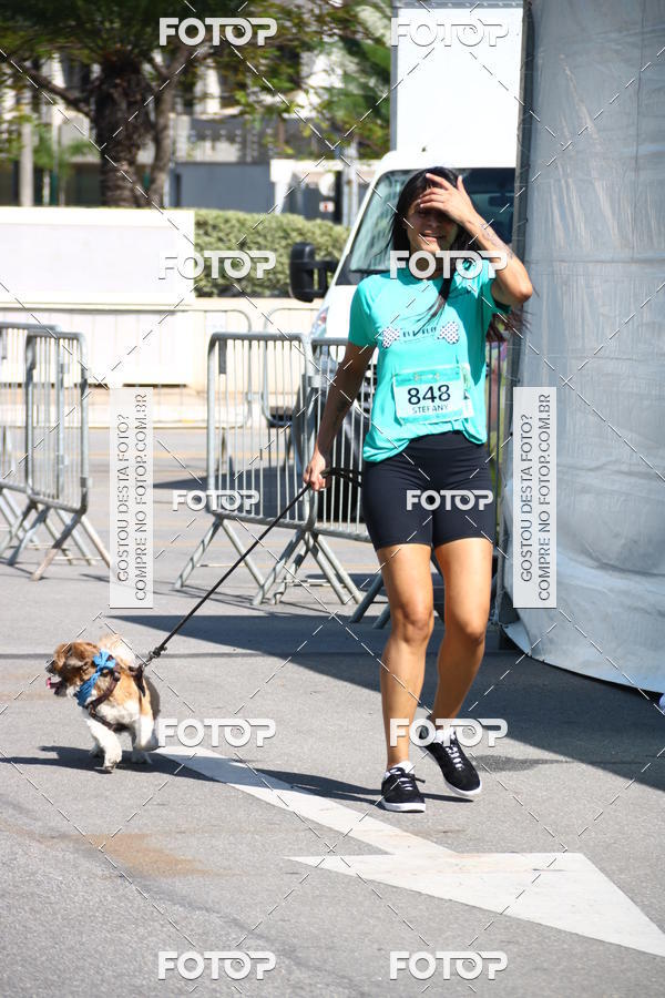 Buy your photos of the event2� Pet Run Shopping Eldorado  on Fotop