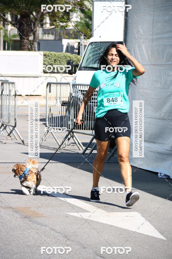 Buy your photos of the event2� Pet Run Shopping Eldorado  on Fotop