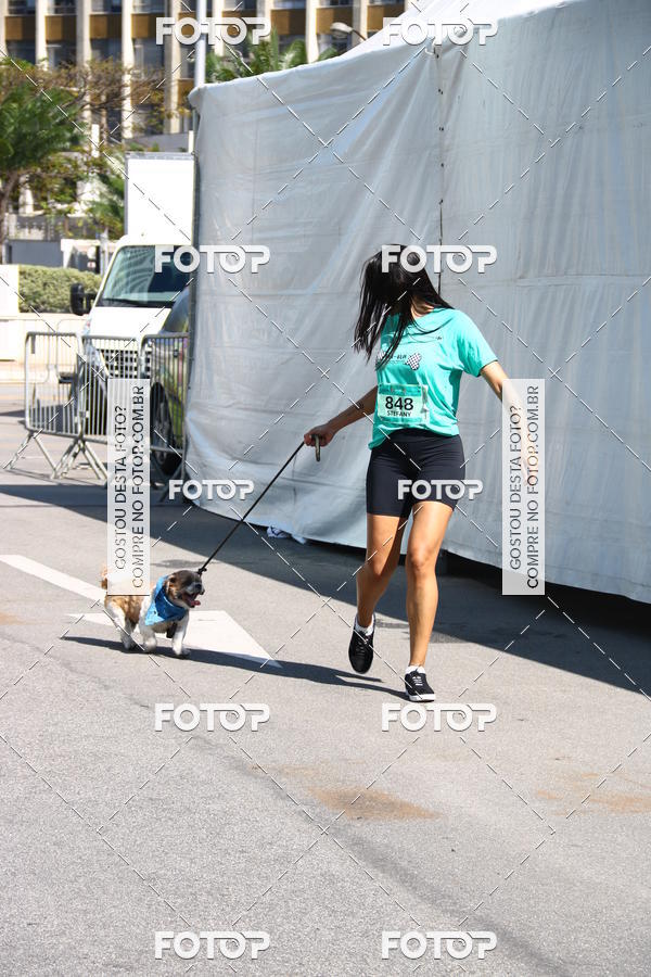 Buy your photos of the event2� Pet Run Shopping Eldorado  on Fotop