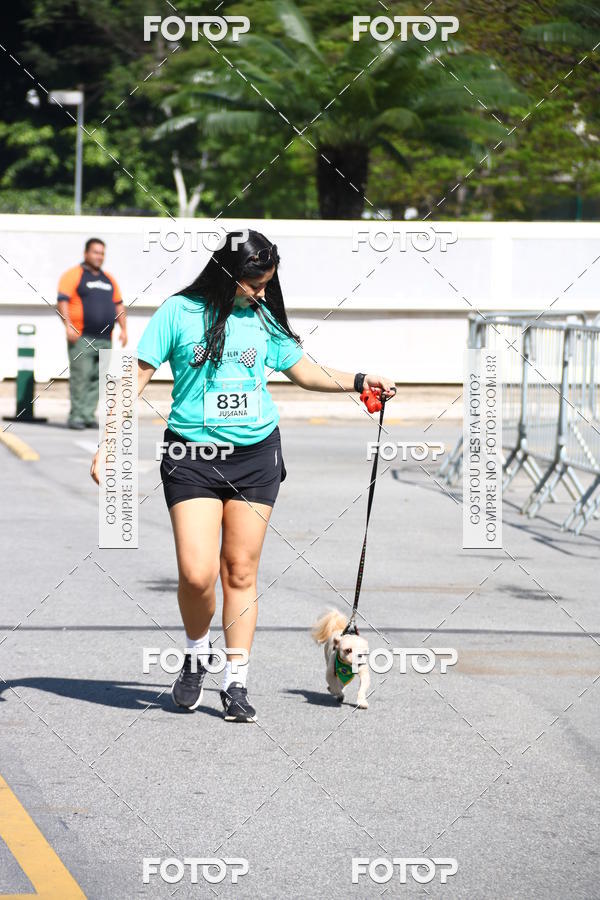 Buy your photos of the event2� Pet Run Shopping Eldorado  on Fotop