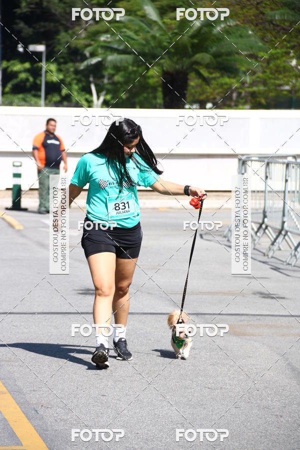Buy your photos of the event2� Pet Run Shopping Eldorado  on Fotop