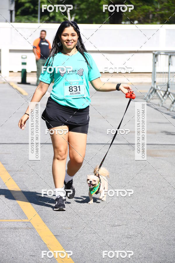 Buy your photos of the event2� Pet Run Shopping Eldorado  on Fotop