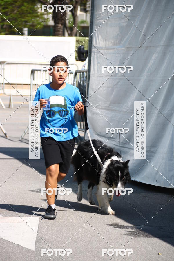 Buy your photos of the event2� Pet Run Shopping Eldorado  on Fotop