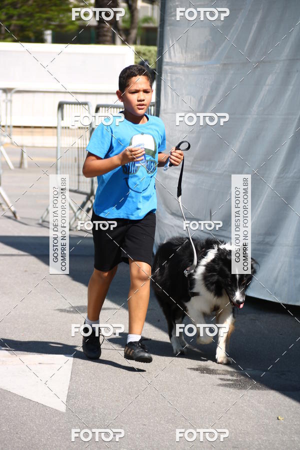 Buy your photos of the event2� Pet Run Shopping Eldorado  on Fotop