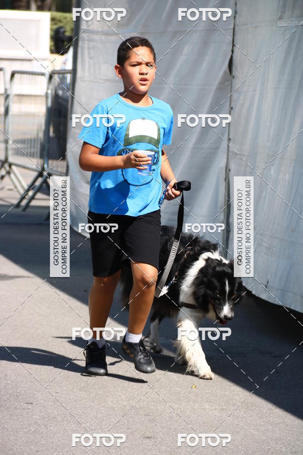 Buy your photos of the event2� Pet Run Shopping Eldorado  on Fotop