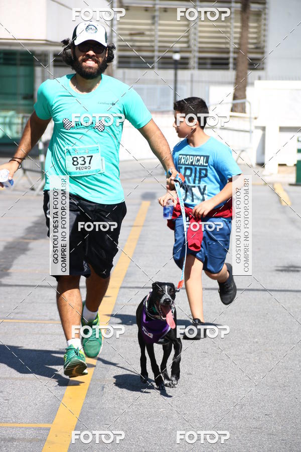 Buy your photos of the event2� Pet Run Shopping Eldorado  on Fotop