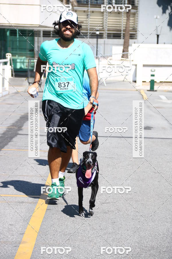 Buy your photos of the event2� Pet Run Shopping Eldorado  on Fotop