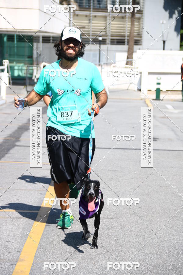 Buy your photos of the event2� Pet Run Shopping Eldorado  on Fotop