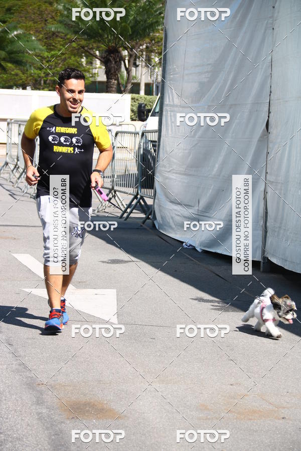 Buy your photos of the event2� Pet Run Shopping Eldorado  on Fotop