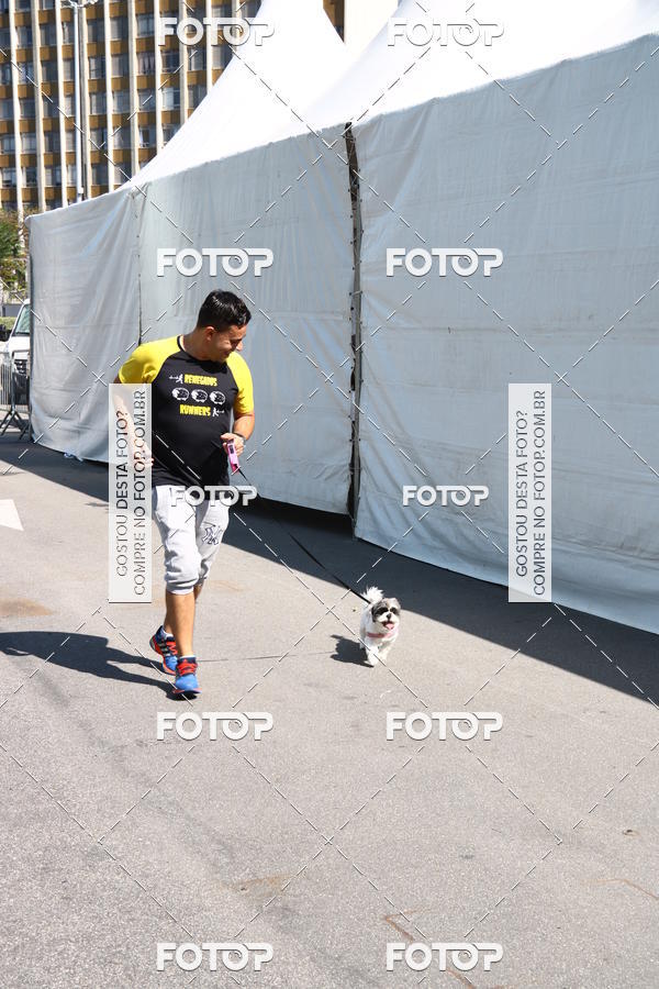 Buy your photos of the event2� Pet Run Shopping Eldorado  on Fotop