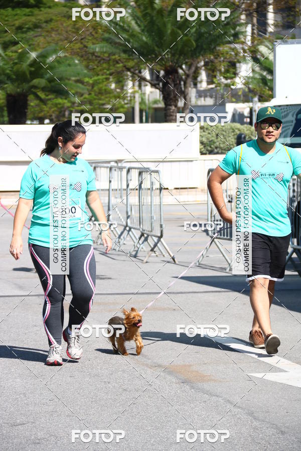 Buy your photos of the event2� Pet Run Shopping Eldorado  on Fotop